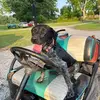 Daniel Tripp - @shine.132 - TikTok