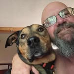Daniel Trisch - @daddydogg0701 - Instagram