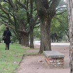 Daniel Troccoli - @daniel_troccoli - Instagram