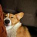 Daniel Lee Troxell - Facebook