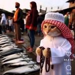 @danieltroy - Instagram