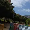 danieltroyano74 - @danieltroyano74 - TikTok