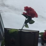 Daniel Trudel - @daniel.trudel.1865 - Instagram