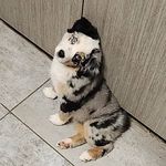 Daniel Trudel - @danieltrudel51 - Instagram