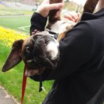 Daniel Truex - @danieltruex - Instagram