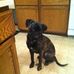 Daniel Trumbull - Facebook