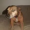 Daniel Paul Truscott - @daniel.paul.trusc - TikTok