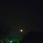 @daniel_trustt - Instagram