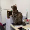 Daniel Tseng925 - @danieltseng620 - TikTok