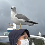 Daniel Tseng - @daniel.tseng93 - Instagram
