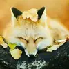 Daniel Tseng - @30292350353 - TikTok
