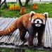 Daniel Tseng - Facebook