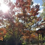 dtsui_photo - @daniel_tsui - Instagram