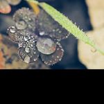 @daniel_tuominen - Instagram