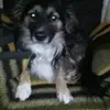 Daniela Turban626 - @danielaturban626 - TikTok