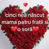 Daniel Turcan - @daniel.turcan63 - TikTok