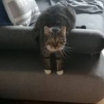 Daniel Christopher Turek - @daniel.turek - Instagram