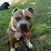 Daniel Turnbough - Facebook