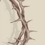 DanielTurney - @daniel_turney07 - Instagram