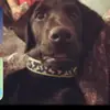 danielturton4 - @danielturton44 - TikTok