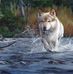 Daniel Tuten - Facebook
