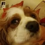 Daniel Twomey - @twomeydaniel31 - Instagram