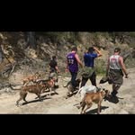 Daniel Tyler - @danieltyler1370 - Instagram