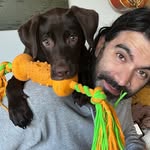 Daniel Uhrich - @danieluhrich - Instagram