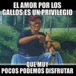 Daniel Urriola - @urriola9159 - Instagram