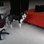 Jose Daniel Urriola - @josedanielurriola - Instagram