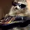 Olly4starzthenotbestedito527 - @danieltyutin - TikTok