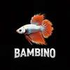 bambino - @danielutrera91 - TikTok