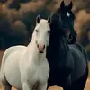 daniela utrera - @danielautrera115 - TikTok
