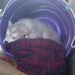 daniel - @danielutterback2009 - Instagram