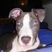 Daniel Vacek - Facebook