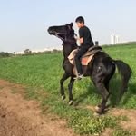 DANIEL vaknin - @daniel_vaknin89_ - Instagram