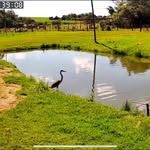Daniel Valadão Oliveira - @danielvaladaooliveira - Instagram