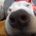 Daniel Valarezo - Facebook