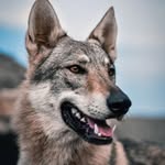 @_daniel_valchev_ - Instagram