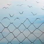 Daniel Valery - @dalvry2018 - Instagram