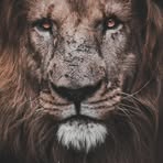 Daniel Valko - Facebook