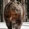 DV6 - @danielvalkov4 - TikTok