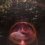Daniel Valle - @danielvallef - Instagram