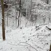 daniel.vall8 - @daniel.vall8 - TikTok