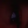 danielavalla_77 - @danielavalla_77 - TikTok