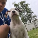 Daniel Vallance - @daniel.vallance.52 - Instagram