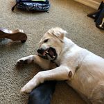 Daniel - @daniel_browns_valley - Instagram