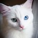 Daniel Vallo - Facebook