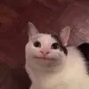 Daniel - @danielvalo_ - TikTok