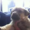 Daniel Valo - @danielvalo - TikTok